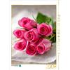 CALVENDO Puzzle Bouquet di rose rosa in toni pastello | 2000 pezzi dimensioni 90x67cm Foto-Puzzle per le ore felici