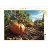CALVENDO Puzzle Zucca nel letto del giardino sotto il sole | 1000 Pezzi Puzzle 64x48cm Foto puzzle per ore felici