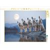 CALVENDO Puzzle Call of the Wild: Wolves at Full Moon | 1000 Pezzi Puzzle 64x48cm Foto-Puzzle per le ore felici