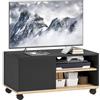 HOMCOM Mobile TV con Ruote Mobile Porta TV Fino a 42 80x45x41 cm Nero | con Armadietto, Ripiani Aperti Regolabili, Foro Passacavi, Mobiletto per Televisore, Soggiorno, Camera da Letto, Salotto