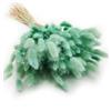Enchanted Dekogras - Erba secca ornamentale a coda di coniglio, Lagurus Ovatus, erba di velluto, coniglio, fiori secchi, naturale, boho, 120 - 150 pezzi, 100 g, verde menta