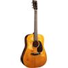 Martin Guitars Martin & Co D-18 Street Legend