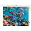 CALVENDO Puzzle La diversità della Grande Barriera Corallina | 1000 Pezzi Puzzle 64x48cm Foto-Puzzle per le ore felici