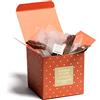 Domori Rooibos Natalizio all'Arancia e Spezie, Gusto Fruttato, Rooibos di Natale in Scatoletta Regalo, 25 Filtri, Tot. 50g, Dammann Frères
