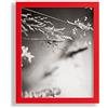 VO design Cornice portafoto Premium Finn, 20 x 20 cm, rosso con vetro sintetico trasparente, colore e dimensioni a scelta