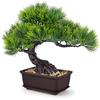 Der Rose Bonsai artificiale da 20,3 cm, piccole piante finte in vaso, per casa, ufficio, scrivania, bagno, mensola decorativa (pino)