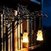 DAZZTIME Lampada da Libreria per Biblioteca,2 Pezzi Lampadario per Libreria | Lanterna per Biblioteca,Illuminazione Decorativa per Scaffale,Luci Decorative Per Angolo Lettura,per Studio,Libreria