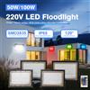 Green Wisdom Faretto LED SMD2835 DC12V AC220V IP65 impermeabile 50W 100W bianco RGB bianco caldo con interruttore/telecomando a 24 tasti, lampada di sicurezza da esterno con cambio colore per giardino, cortile,