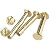 LIUCH 5/10/20 pezzi Viti Chicago for rilegatura in ottone placcato in rame, rivetti a pressione, viti a testa piatta for libri, for di album fotografici(M5x30mm-10pcs)