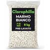 CLOROPHILLA Ghiaia Bianca Decorativa 7-12 mm Pre-lavata - Sassolini per Vasi e Giardino - Ideale per Drenaggio e Decoro - Pietra Naturale - 1,8 kg - 4 kg - 8 kg -16 kg- 22 kg (BIANCO 8 KG)