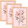 Velora Home&Living VELORA H&L H&L Set da 3 Cornici Foto Legno naturale 20 x 30 cm - Cornice in Legno con Plexiglass Trasparente, Portafoto da Parete, Cornice per Poster, Fotografie, Puzzle, Diplomi e Certificati