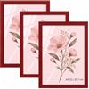 Velora Home&Living VELORA H&L H&L Set da 3 Cornici Foto Rosso A4 21 x 29,7 cm - Cornice in Legno con Plexiglass Trasparente, Portafoto da Parete, Cornice per Poster, Fotografie, Puzzle, Diplomi e Certificati