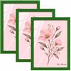 Velora Home&Living VELORA H&L H&L Set da 3 Cornici Foto Verde 30 x 40 cm - Cornice in Legno con Plexiglass Trasparente, Portafoto da Parete, Cornice per Poster, Fotografie, Puzzle, Diplomi e Certificati