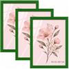 Velora Home&Living VELORA H&L H&L Set da 3 Cornici Foto Verde A4 21 x 29,7 cm - Cornice in Legno con Plexiglass Trasparente, Portafoto da Parete, Cornice per Poster, Fotografie, Puzzle, Diplomi e Certificati
