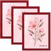 Velora Home&Living VELORA H&L H&L Set da 3 Cornici Foto Rosso 20 x 30 cm - Cornice in Legno con Plexiglass Trasparente, Portafoto da Parete, Cornice per Poster, Fotografie, Puzzle, Diplomi e Certificati