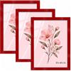Velora Home&Living VELORA H&L H&L Set da 3 Cornici Foto Rosso 30 x 40 cm - Cornice in Legno con Plexiglass Trasparente, Portafoto da Parete, Cornice per Poster, Fotografie, Puzzle, Diplomi e Certificati