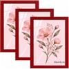 Velora Home&Living VELORA H&L H&L Set da 3 Cornici Foto Rosso 30 x 45 cm - Cornice in Legno con Plexiglass Trasparente, Portafoto da Parete, Cornice per Poster, Fotografie, Puzzle, Diplomi e Certificati