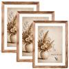 Velora Home&Living VELORA H&L Set da 3 Cornici Foto Legno Bruciato A4 21 x 29,7 cm - Cornici in Legno con Plexiglass Trasparente, Portafoto da Parete, Cornici per Poster, Fotografie, Puzzle, Diplomi e Certificati
