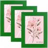 Velora Home&Living VELORA H&L H&L Set da 3 Cornici Foto Verde 13 x 18 cm - Cornice in Legno con Plexiglass Trasparente, Portafoto da Parete, Cornice per Poster, Fotografie, Puzzle, Diplomi e Certificati