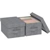 ENUMAIL Scatole Portaoggetti Lavabile con Manici,33x23x18cm,Grigio,2 Pezzi | Scatole di Stoccaggio Pieghevoli con Coperchio,Scatola con Supporto di Tavola PP,Contenitori per Armadio in Tessuto