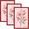 Velora Home&Living VELORA H&L H&L Set da 3 Cornici Foto Rosso 70 x 100 cm - Cornice in Legno con Plexiglass Trasparente, Portafoto da Parete, Cornice per Poster, Fotografie, Puzzle, Diplomi e Certificati