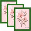 Velora Home&Living VELORA H&L H&L Set da 3 Cornici Foto Verde 20 x 30 cm - Cornice in Legno con Plexiglass Trasparente, Portafoto da Parete, Cornice per Poster, Fotografie, Puzzle, Diplomi e Certificati