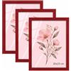 Velora Home&Living VELORA H&L H&L Set da 3 Cornici Foto Rosso 20 x 25 cm - Cornice in Legno con Plexiglass Trasparente, Portafoto da Parete, Cornice per Poster, Fotografie, Puzzle, Diplomi e Certificati