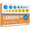ALFASIGMA SpA CARNIDYN PLUS 20 BUSTINE DA 5 G GUSTO ARANCIA