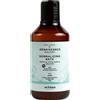 Artego Rain Dance Renaissance Normalizing Bath 300ml - shampoo seboequilibrante lenitvo cuoio capelluto