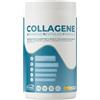 EthicSport COLLAGENE A.R.F. - Collagene idrolizzato con Acido Ialuronico, Vitamina C, Zinco, Magnesio e Vitamina B6 - Supporto per cartilagini, tessuti connettivi, pelle, capelli e unghie - 400 g