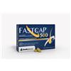 SHEDIR PHARMA Srl Unipersonale Fastcap 500 30 Compresse Rivestite