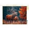 Calvendo Puzzle di CALVENDO Un possente cervo chiama durante il rut nella foresta autunnale e mostra tutta la sua forza e presenza. | Puzzle da 1000 pezzi di dimensioni 64x48cm Foto puzzle per ore liete