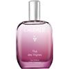 CAUDALIE ITALIA Srl THE DES VIGNES ACQUA PROFUMATA 100 ML