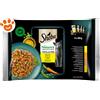 Sheba Cat Selezione Gustosa In Salsa Pollo & Manzo, Pollo, Agnello, Anatra & Tacchino - Confezione Da 4x85 Gr