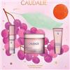 CAUDALIE ITALIA Srl RESVERATROL LIFT CASHMERE COFANETTO CON CREMA CASHMERE 50 ML + SIERO LIFTANTE RASSODANTE 10 ML IN OMAGGIO + TRATTAMENTO LIFTANTE OCCHI 5 ML IN OMAGGIO