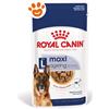 Royal Canin SHN Dog Maxi Ageing 8+ - Bustina Da 140 Gr