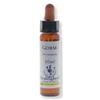 NATUR Srl Healing Herbs Gorse 10 ml Fiore di Bach
