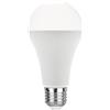 Intec Bulbs Lampadina LED KLASSIC 19W attacco E27 2452L 129mm