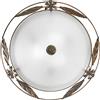Luce Ambiente e Design Plafoniera RICCIO