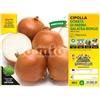 Orto Mio Piantine di Ortaggi in pack cubettato per la produzione famigliare disponibili in molte tipologie e varietà (Cipolla dorata di Parma 12 piante)