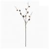 Bizzotto Ramo Decorativo con Ghiande Marrone per Composizioni e Addobbi Doryn H76cm