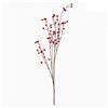 Bizzotto Ramo Halyn X62b C/bacche Rosso H120cm