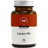CENTO FIORI Srl LIPOICO PIU' 60CPS