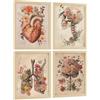 Nacnic Set Di 4 Stampe Anatomia Vintage Poster E Quadri Con Fiori Cuore Polmoni Cranio E Cervello Decorazione Da Parete Medica Dimensione A3 Senza Cornice