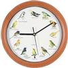 JISADER Orologi per Uccelli cantanti Orologio per Uccelli con Suono Orologi da Parete Decorativi minimalisti Orologio da Appendere per mensola, Decorazione