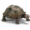 SCHLEICH Tartaruga gigante Schleich