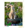 Calvendo: Gatto rosso su una botte di legno in un giardino in fiore, puzzle da 2000 pezzi, dimensioni 670x900 mm, Menden Katho; 7405694