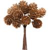 Piovaccari Mazzolino 12 Pigne Natale H 11 Cm Natural