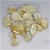 Gemsporium Intaglio Foglia Citrino Giallo Naturale 16 Pezzi 50.42ct 23x6mm