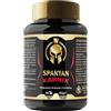 JNUTRITION Spartan Karnix Acetil L-carnitina con capsula vegetale 1grammo di altissima qualità.